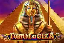 247 asia casino